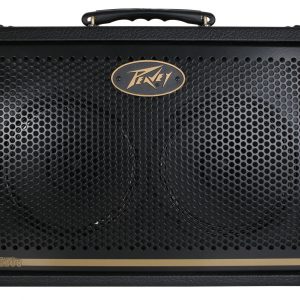 Peavey Ecoustic E208  30 watt Acoustic Amplifier (3599680)