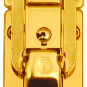 “Just in Case” Brass Large Lock, Deluxe.
