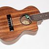 Crossroads Tenor Cutaway Electric Ukulele: Designed for the advancing player who demands versatility and top quality. Mahogany Flamed Wood & The Slim Fast Neck. Edges Of Top & Back Are Bound In Black. Sound Hole Has An Elegant Rosette Of Inlaid Wood. Highest Quality Sealed, Geared Guitar-Style Tuning Machines. CU-300TEC-1