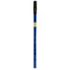 Irish Penny Whistle, Blue