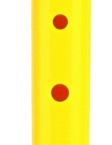 Yellow Recorder w/bag