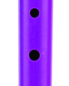 Purple Recorder w/bag