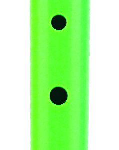 Green Recorder w/bag