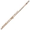 Oxford Flute:  Nickel Plated, Die Cast Keys, Hard Shell Case. IF-1-1
