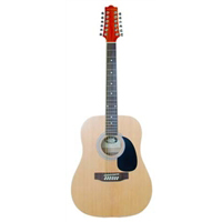 Stadium 12 String Acoustic Guitar:  Full Size, 12 String, Bound Body, Rosewood Finger Board and Bridge, Die Cast Machine Heads with a High Gloss Finish.  Colors: Black, Natural, Sunburst NY-200-12-1